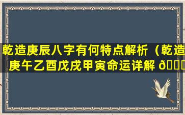 乾造庚辰八字有何特点解析（乾造庚午乙酉戊戌甲寅命运详解 🍁 ）